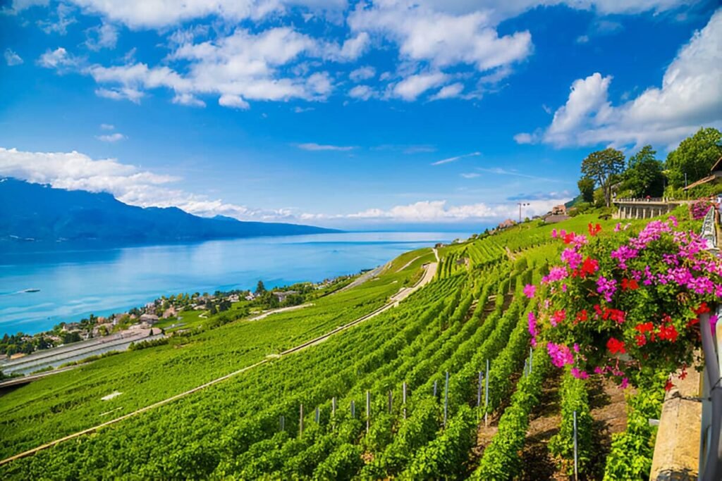 famous Lavaux